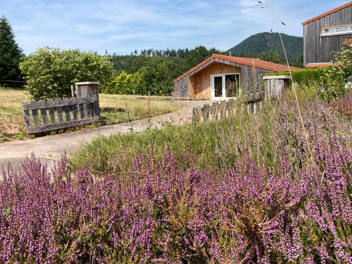 Le Chalet Dans La Nature Saulcy-sur-Meurthe エクステリア 写真